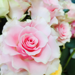 ~A flowers~