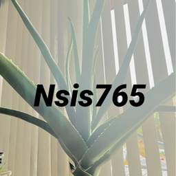 Nsis765