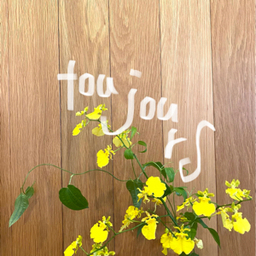 toujours.38