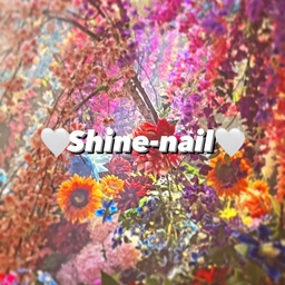shine-nail21