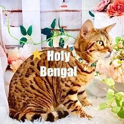 Holy Bengal