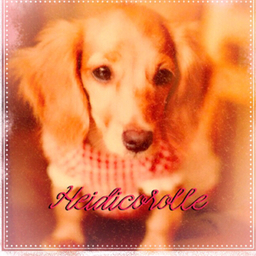 Heidicorolle