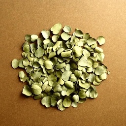 AglaiaTelesma