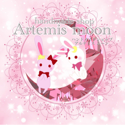 Artemis moon