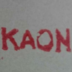 kaon211