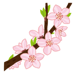 Flower Saito