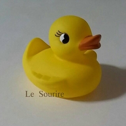 Le Sourire 