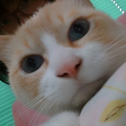 みさきん
