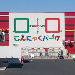 こんにゃくちゃん