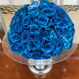 BLUEROSE