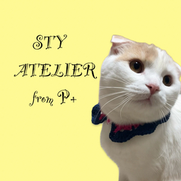 STY ATELIER from P+