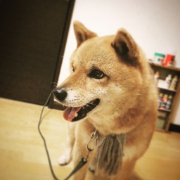 mogura コーサクシツ