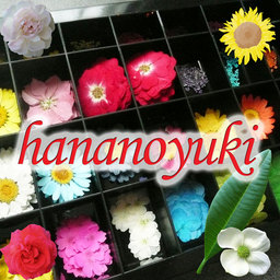 hananoyuki