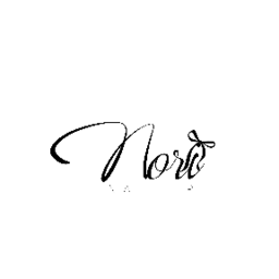 nori-nailtip
