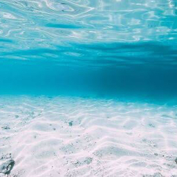 ＯＣＥＡＮ