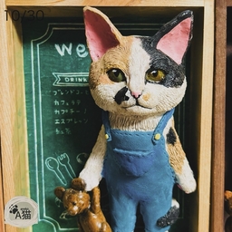 A猫