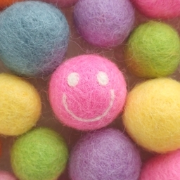 mamebonbon