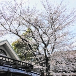 くみ。🔰