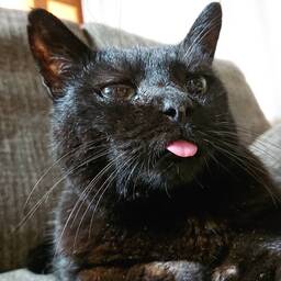 Kiki.kitty