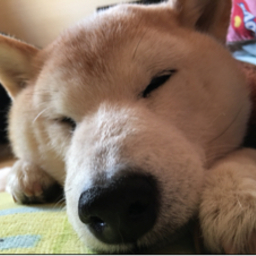 ☺︎fuki☺︎