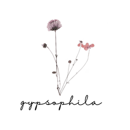 gypsophila