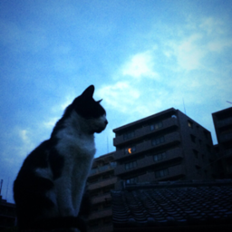 mitsuki