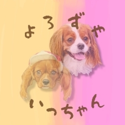46zuyaicchan