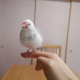 nanamingo27