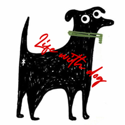 playing dog.B