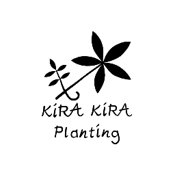 キラキラプランティング
