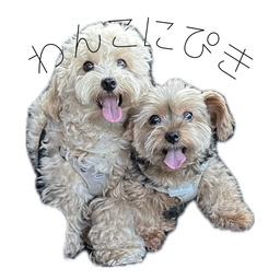 わんこにぴき