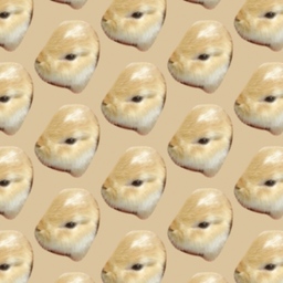 ちゃわんむし