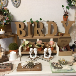 bird-y