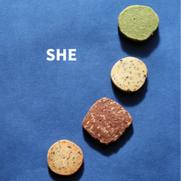  SHE
