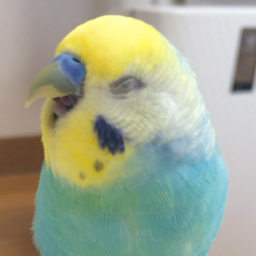 seinaume