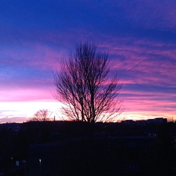 Inverleith Crescent