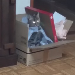 や～ぎ～