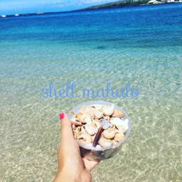shell   mahalo