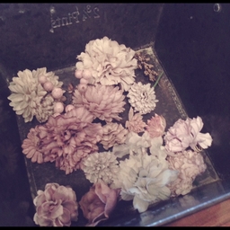 _fleur 
