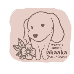 akaaka.paraflower