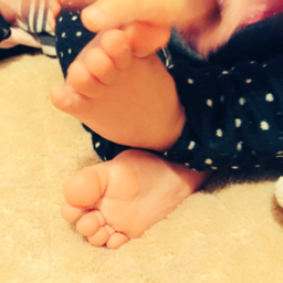 あんず。しばらくお休み