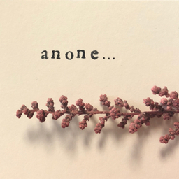 anone...    
