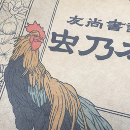 木瓜