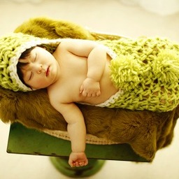 dear.paopao