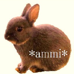 ammi