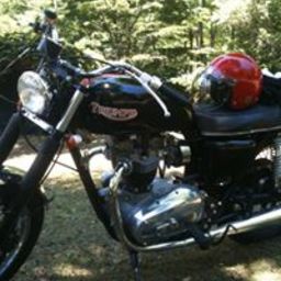 bonne1980
