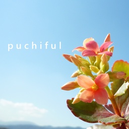 M puchiful