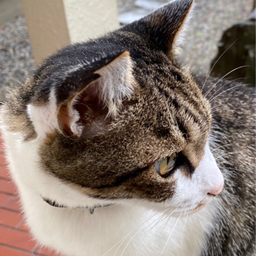 手芸屋うみ