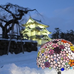 tosi-tsugaru