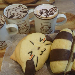 StitchHouse Raccoon